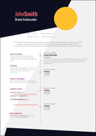 brand ambassador resume
