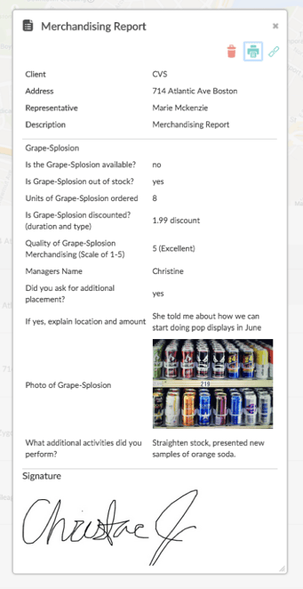 merchandising field report best practices