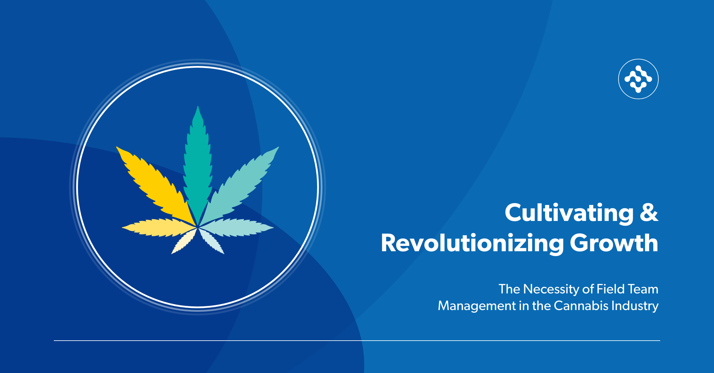 The Necessity of Field Team Management in the Cannabis Industry